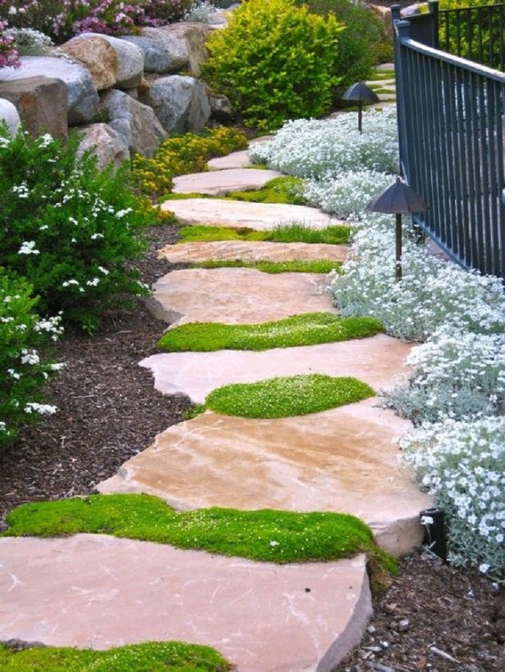 Diffe Types Of Plants And Ground Cover, Soft Ground Cover